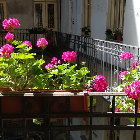 A Quiet Place In The Heart Of The * Budapest